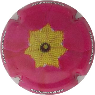 C52 Fleurs, 08/12
Photo René COSSEMENT
