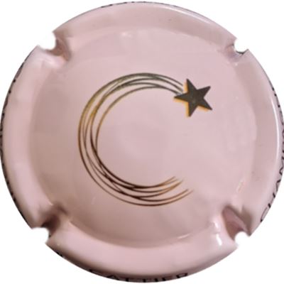 N°33b Rose pâle et or, verso or
Photo Julie LEGRIS
