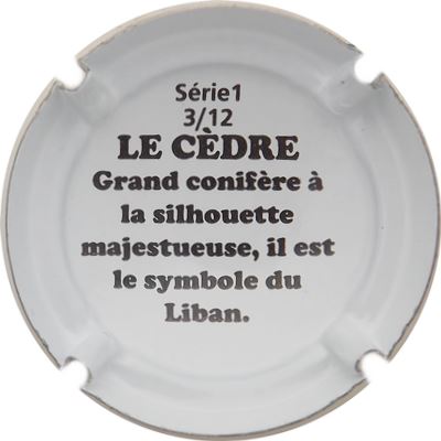 N°54 03-12 Le cèdre, verso
Photo René COSSEMENT
