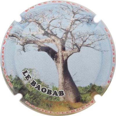 N°54 05-12 Le baobab, recto 
Photo René COSSEMENT
