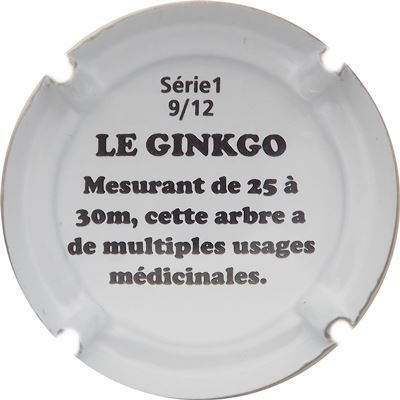 N°54 09-12 Le ginkgo, verso
Photo René COSSEMENT
