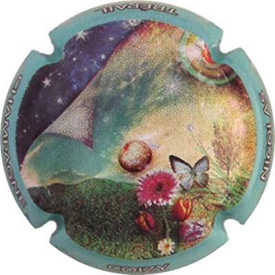 N°01 Série de 6 (fleurs) Contour bleu
Photo René COSSEMENT
