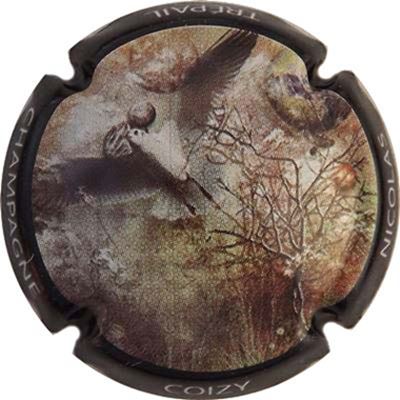 N°01 Série de 6 (fleurs) Contour noir
Photo René COSSEMENT
