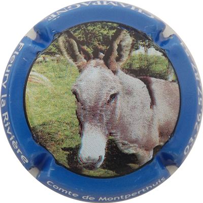 N°10l Ane gris, contour bleu foncé
Photo René COSSEMENT
