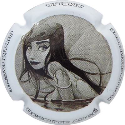 N°11a Contour blanc
Photo René COSSEMENT
