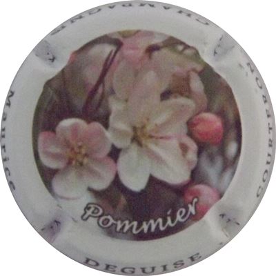 N°072b Fleur de Pommier
Photo René COSSEMENT
