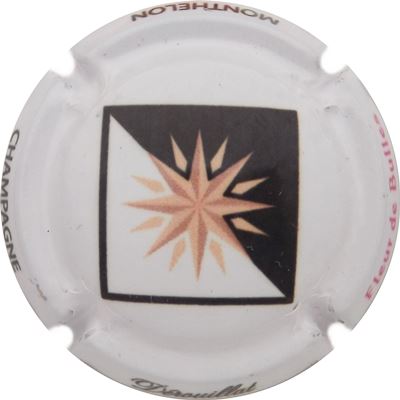 N°32a Fleur de Bulles, noté sur le contour
Photo René COSSEMENT
