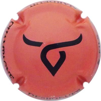 N°01d Orange et noir
Photo René COSSEMEN
