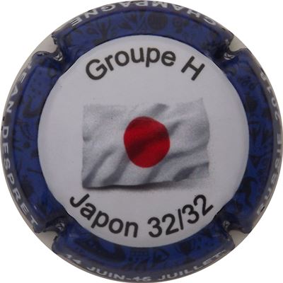 N°25 Coupe du Monde 2018, 32-32, Japon
Photo René COSSEMENT
