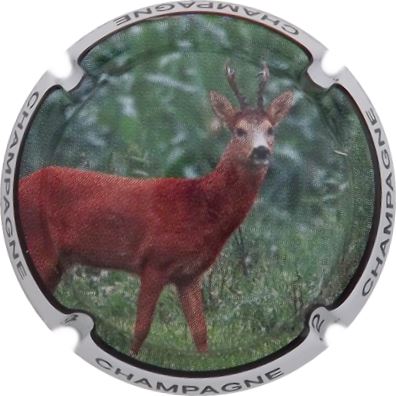 C168e Chevreuil
Photo René COSSEMENT
