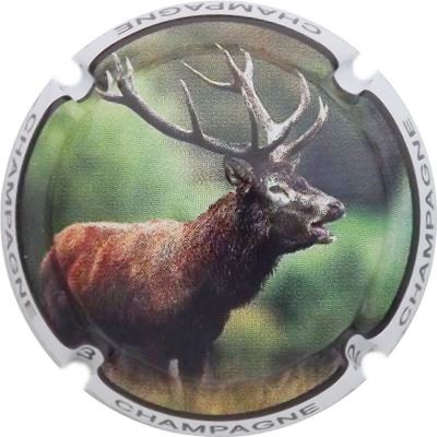 C168d Cerf
Photo René COSSEMENT
