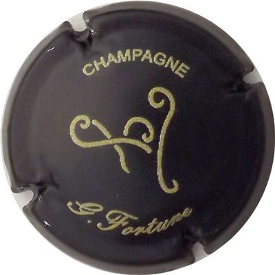 N°02 Noir et or pâle
Photo René COSSEMENT

