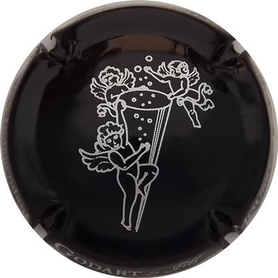 N°10b Noir et argent
Photo René COSSEMENT
