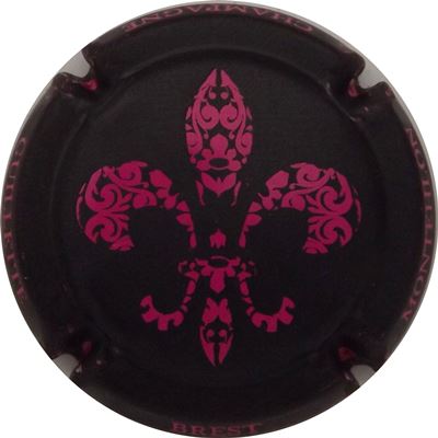 N°032x-NR Noir mat et fuchsia brillant
Photo René COSSEMENT
Mots-clés: NR