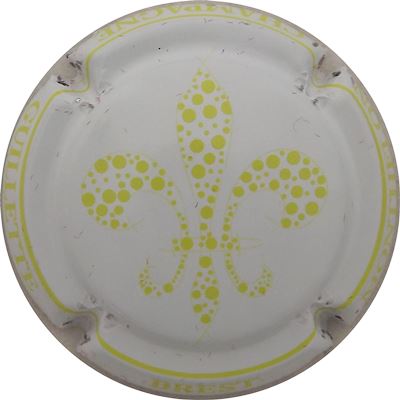 N°032l Fond blanc, jaune pâle
Photo René COSSEMENT
