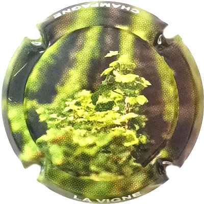 La vigne
Photo René COSSEMENT
Mots-clés: NR