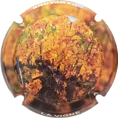 La vigne
Photo René COSSEMENT
Mots-clés: NR