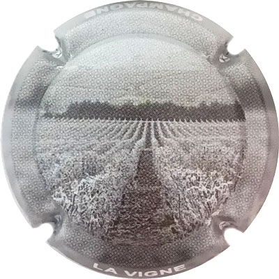 La vigne
Photo René COSSEMENT
Mots-clés: NR