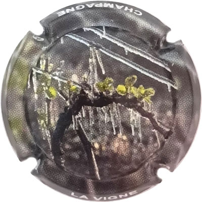 La vigne
Photo René COSSEMENT
Mots-clés: NR