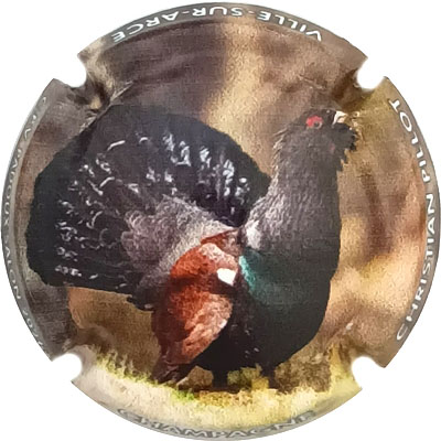 NR CPV Padoux 2026, Grand Tétras, N°XXX-200
Photo René COSSEMENT
Mots-clés: NR