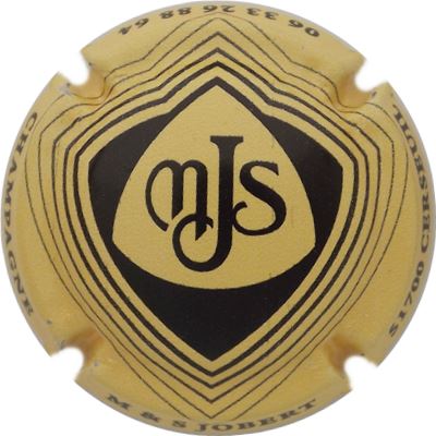 N°02a Jaune et noir
Photo René COSSEMENT
