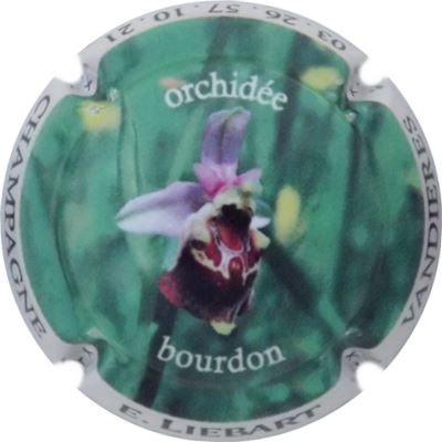 N°29 Orchidée bourdon
Photo René COSSEMENT
