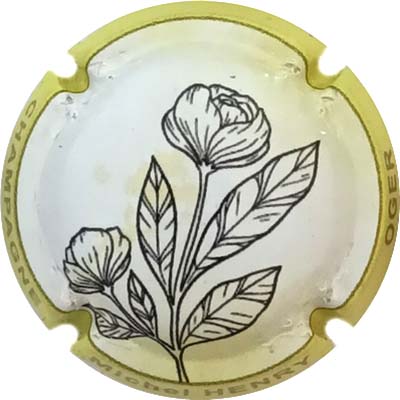 N°NR-01 Contour jaune
Photo René COSSEMENT
Mots-clés: NR