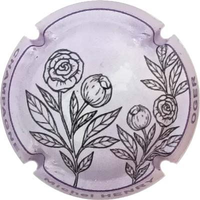 N°NR-01 Contour mauve
Photo René COSSEMENT
Mots-clés: NR