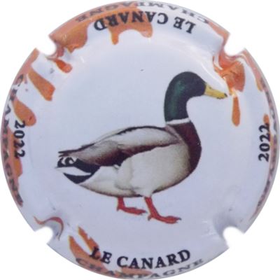 N°1235e Le canard
Photo René COSSEMENT
