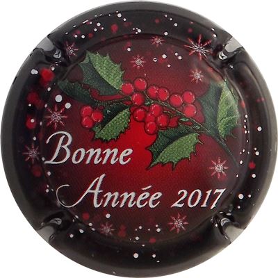 N°0959b Bonne Année 2017
Photo René COSSEMENT
