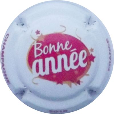 N°0963 Bonne Année
Photo René COSSEMENT
