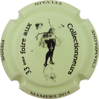 N°13b Mamers 2014, Vert pâle et noir
Photo René COSSEMENT
