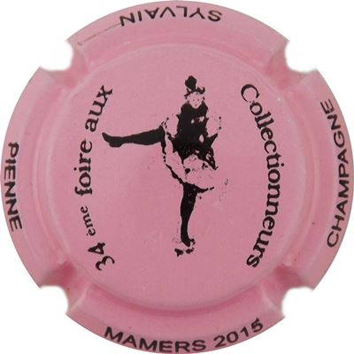 N°13a Mamers 2015, Rose et noir
Photo René COSSEMENT
