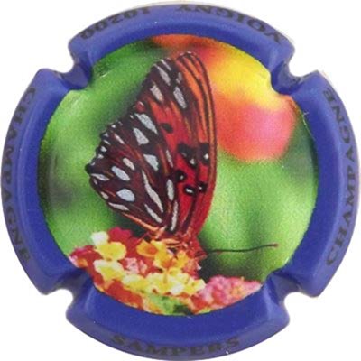 N°11a Série de 6, papillon, Contour violet
Photo René COSSEMENT
