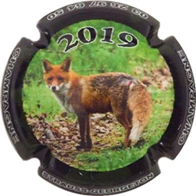 N°31x-NR 2019, Renard, champagne sur contour
Photo René COSSEMENT
