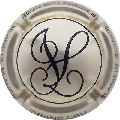 N°19 Or-argenté et noir
Photo René COSSEMENT
