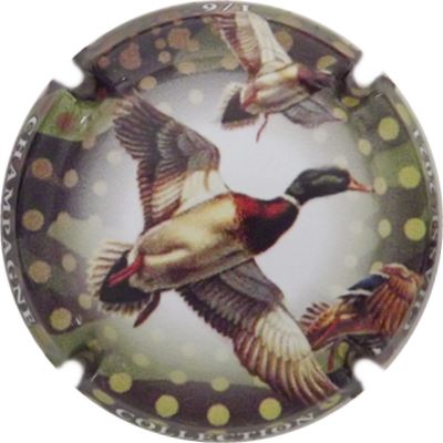 C118 1-6 Canard
Photo René COSSEMENT
