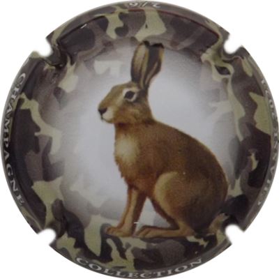 C118a 2-6 Lièvre
Photo René COSSEMENT
