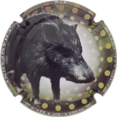 C118b 3-6 Sanglier
Photo René COSSEMENT
