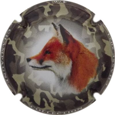 C118c 4-6 Renard
Photo René COSSEMENT
