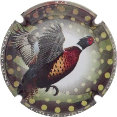 C118d 5-6 Faisan
Photo René COSSEMENT
