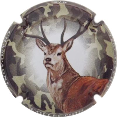 C118e 6-6 Cerf
Photo René COSSEMENT
