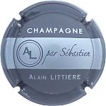 17a_Gris_et_argent.JPG