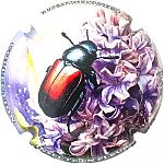 25-02d_Scarabee.jpg