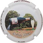 AVIZE_Ndeg12b_Avize_plus.JPG