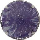 Nom du fichier=C52_Fleur2C_10-12.JPG
Taille du fichier=31Ko
Dimensions : 400x400
Ajouté le : 03 Août 2017 C52_Fleur2C_10-12.JPG