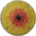 Nom du fichier=C52_Fleur2C_11-12.JPG
Taille du fichier=36Ko
Dimensions : 400x400
Ajouté le : 03 Août 2017 C52_Fleur2C_11-12.JPG