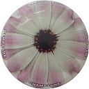 Nom du fichier=C52_Fleur2C_7-12.JPG
Taille du fichier=23Ko
Dimensions : 400x400
Ajouté le : 03 Août 2017 C52_Fleur2C_7-12.JPG