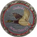 Nom du fichier=CAUX_DOMINIQUE_NR_Amicale_St_Hubert2C3-62C_canard.JPG
Taille du fichier=33Ko
Dimensions : 400x400
Ajouté le : 16 Mai 2018 CAUX_DOMINIQUE_NR_Amicale_St_Hubert2C3-62C_canard.JPG