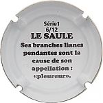 CLERGEOT_DANIEL_NR-03_06-12_Le_saule_pleureur2C_verso.JPG